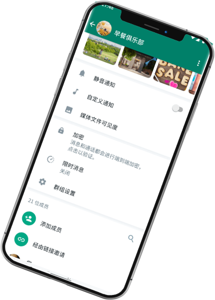 whatsapp 网页